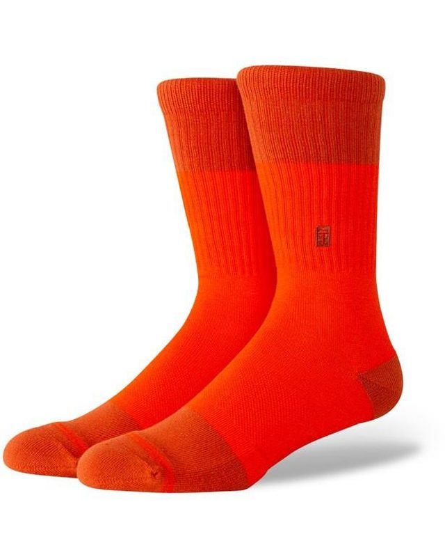 Bob crew socks on foot